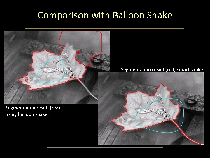 Comparison with Balloon Snake Segmentation result (red) smart snake Segmentation result (red) using balloon Comparison with Balloon Snake Segmentation result (red) smart snake Segmentation result (red) using balloon