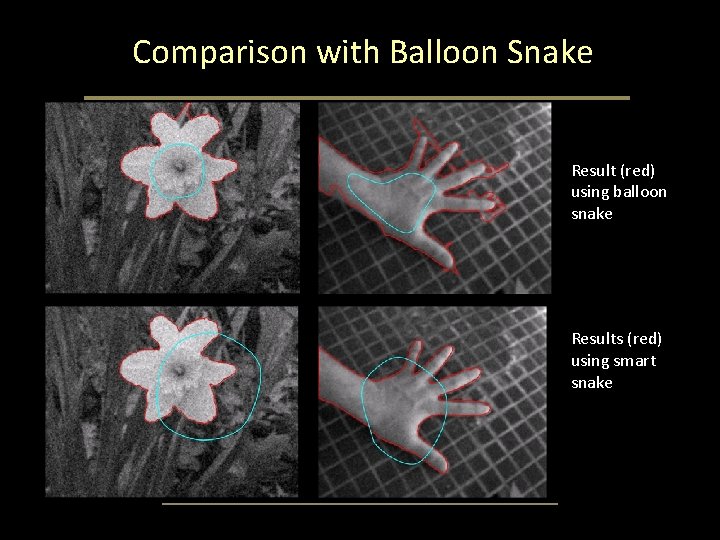 Comparison with Balloon Snake Result (red) using balloon snake Results (red) using smart snake Comparison with Balloon Snake Result (red) using balloon snake Results (red) using smart snake