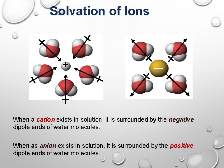 Solvation of Ions + When a cation exists in solution, it is surrounded by