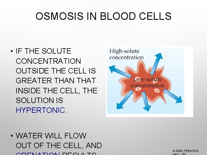 OSMOSIS IN BLOOD CELLS • IF THE SOLUTE CONCENTRATION OUTSIDE THE CELL IS GREATER