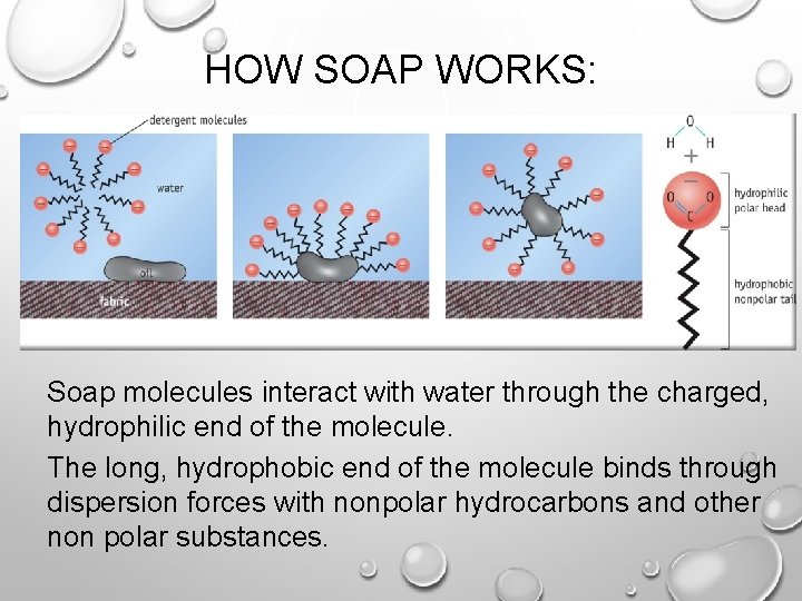 HOW SOAP WORKS: Soap molecules interact with water through the charged, hydrophilic end of
