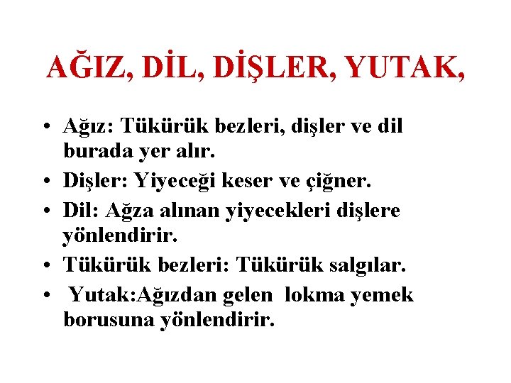 AĞIZ, DİL, DİŞLER, YUTAK, • Ağız: Tükürük bezleri, dişler ve dil burada yer alır.