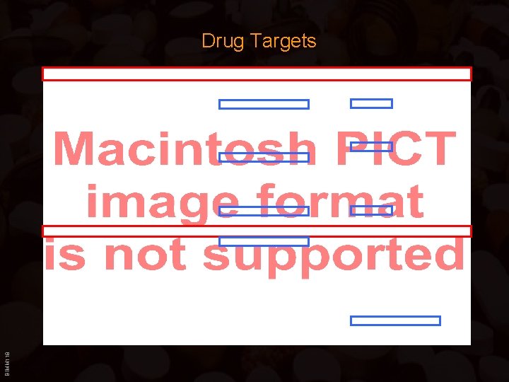 BIMM 118 Drug Targets 