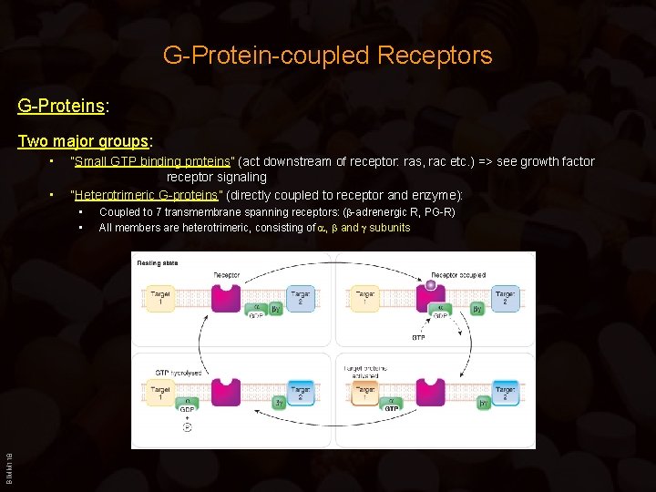 G-Protein-coupled Receptors G-Proteins: Two major groups: • • “Small GTP binding proteins” (act downstream