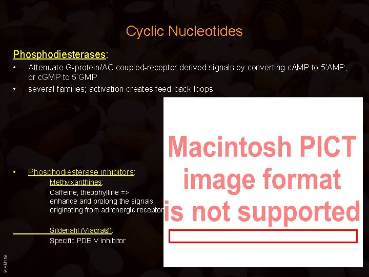 Cyclic Nucleotides Phosphodiesterases: • • Attenuate G-protein/AC coupled-receptor derived signals by converting c. AMP