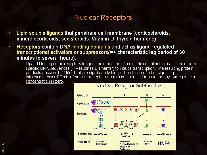 Nuclear Receptors • Lipid soluble ligands that penetrate cell membrane (corticosteroids, mineralocorticoids, sex steroids,