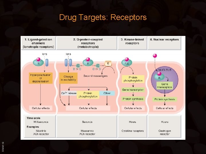 BIMM 118 Drug Targets: Receptors 