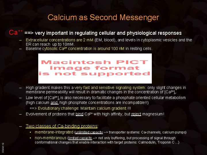 Calcium as Second Messenger Ca++ ==> very important in regulating cellular and physiological responses