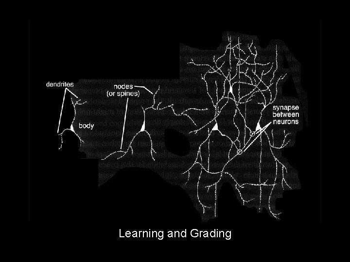 Learning and Grading 