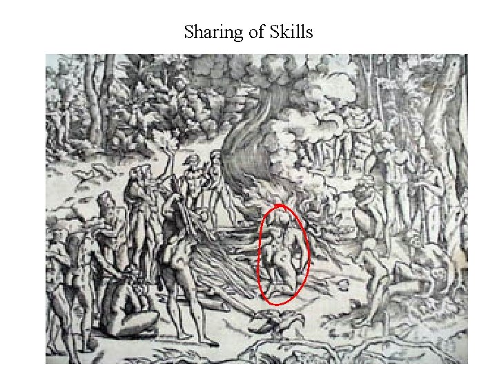 Sharing of Skills 