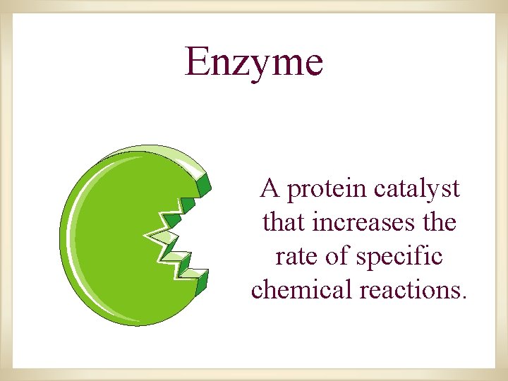 Enzyme A protein catalyst that increases the rate of specific chemical reactions. Enzyme A protein catalyst that increases the rate of specific chemical reactions.