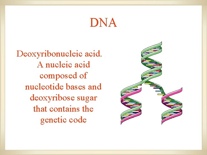 DNA Deoxyribonucleic acid. A nucleic acid composed of nucleotide bases and deoxyribose sugar that DNA Deoxyribonucleic acid. A nucleic acid composed of nucleotide bases and deoxyribose sugar that