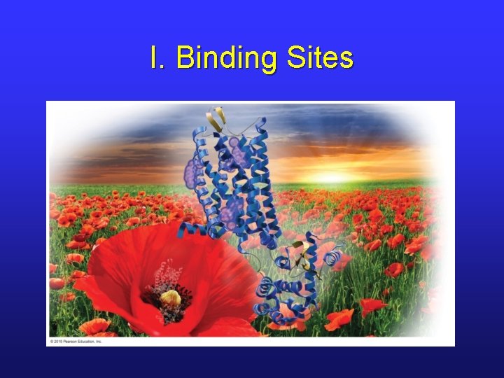 I. Binding Sites 