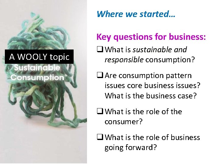 Where we started… Key questions for business: A WOOLY topic q What is sustainable