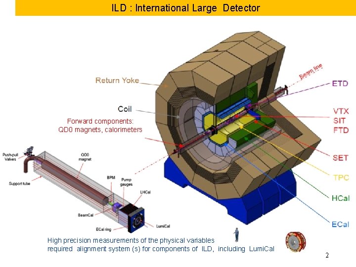 ILD : International Large Detector Forward components: QD 0 magnets, calorimeters High precision measurements
