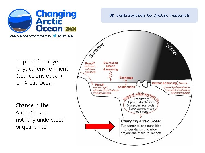 UK contribution to Arctic research www. changing-arctic-ocean. ac. uk @NERC_CAO Impact of change in
