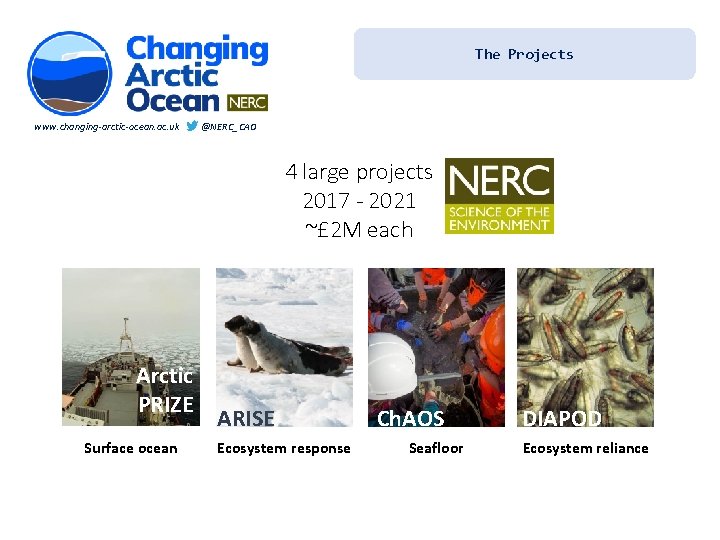 The Projects www. changing-arctic-ocean. ac. uk @NERC_CAO 4 large projects 2017 - 2021 ~£