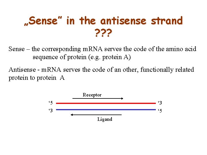 „Sense” in the antisense strand ? ? ? Sense – the corresponding m. RNA
