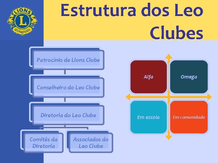 Estrutura dos Leo Clubes Patrocínio de Lions Clube Alfa Omega Em escola Em comunidade