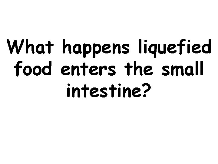 What happens liquefied food enters the small intestine? 