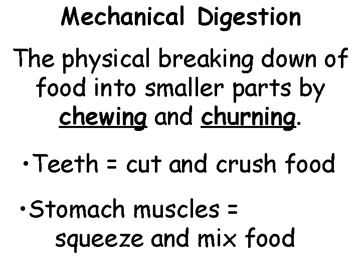The Digestive System Digestion The process of breaking