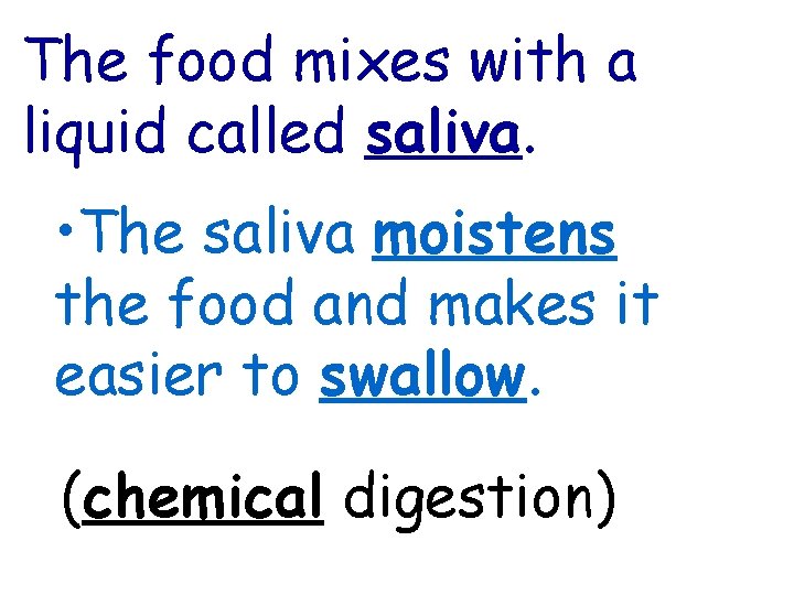 The food mixes with a liquid called saliva. • The saliva moistens the food