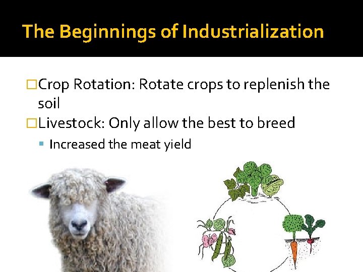The Beginnings of Industrialization �Crop Rotation: Rotate crops to replenish the soil �Livestock: Only