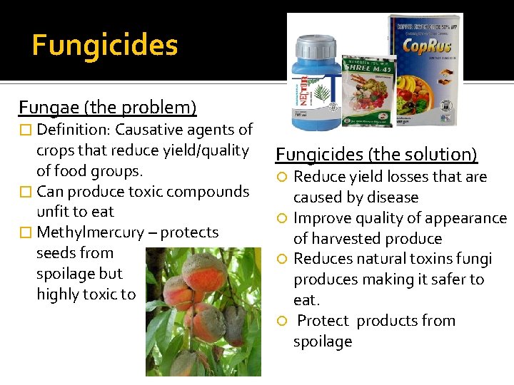 Fungicides Fungae (the problem) � Definition: Causative agents of crops that reduce yield/quality of