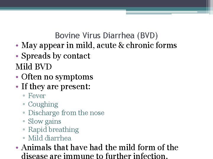 Bovine Virus Diarrhea (BVD) • May appear in mild, acute & chronic forms •