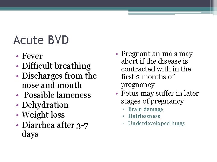 Acute BVD • Fever • Difficult breathing • Discharges from the nose and mouth
