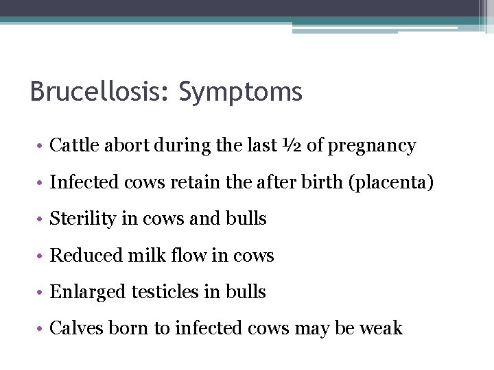 Brucellosis: Symptoms • Cattle abort during the last ½ of pregnancy • Infected cows