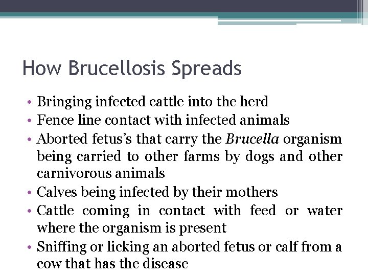 How Brucellosis Spreads • Bringing infected cattle into the herd • Fence line contact