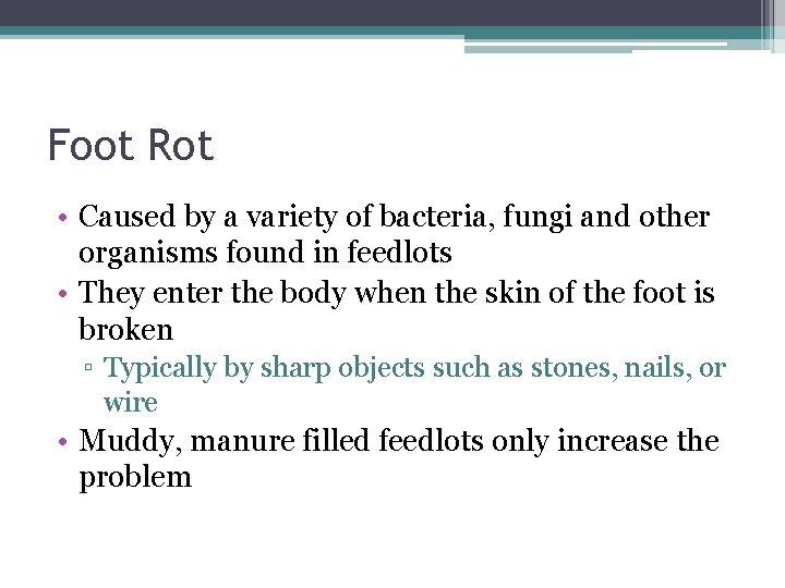 Foot Rot • Caused by a variety of bacteria, fungi and other organisms found