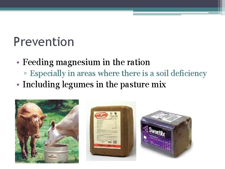 Prevention • Feeding magnesium in the ration ▫ Especially in areas where there is