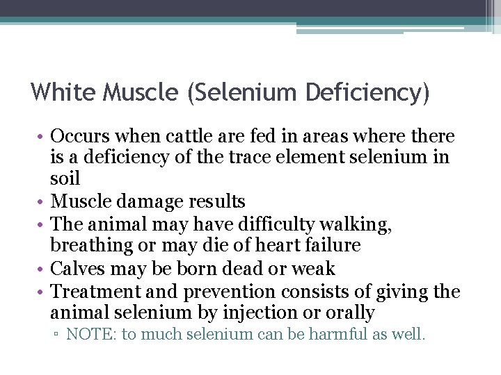White Muscle (Selenium Deficiency) • Occurs when cattle are fed in areas where there