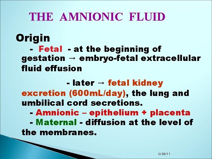 THE AMNIONIC FLUID Origin - Fetal - at the beginning of gestation → embryo-fetal