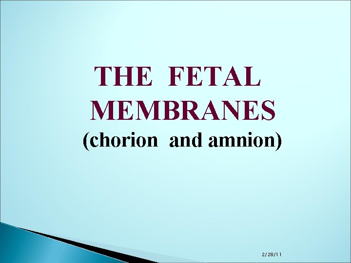 THE FETAL MEMBRANES (chorion and amnion) 2/28/11 