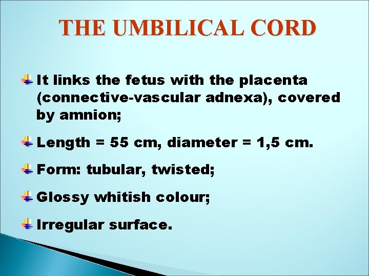 THE UMBILICAL CORD It links the fetus with the placenta (connective-vascular adnexa), covered by