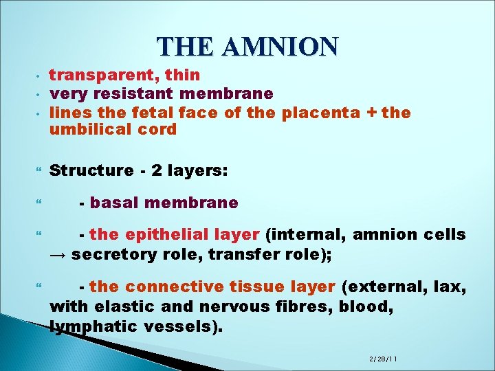 THE AMNION • • • transparent, thin very resistant membrane lines the fetal face