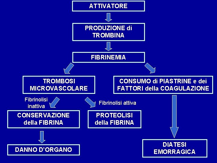 ATTIVATORE PRODUZIONE di TROMBINA FIBRINEMIA TROMBOSI MICROVASCOLARE Fibrinolisi inattiva CONSERVAZIONE della FIBRINA DANNO D’ORGANO