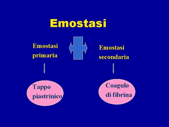 Emostasi primaria Tappo piastrinico Emostasi secondaria Coagulo di fibrina 