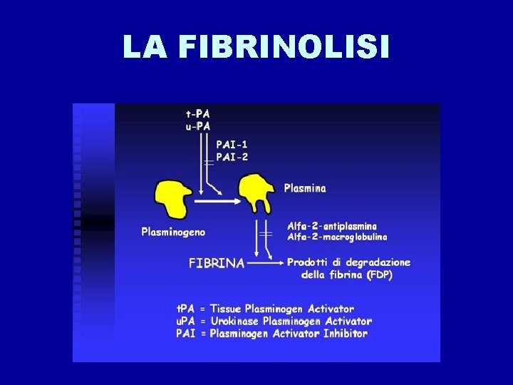 LA FIBRINOLISI 