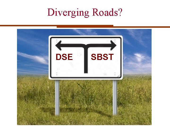 Diverging Roads? DSE SBST 