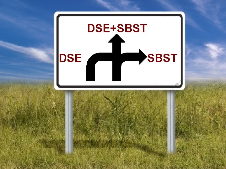 DSE+SBST DSE SBST 