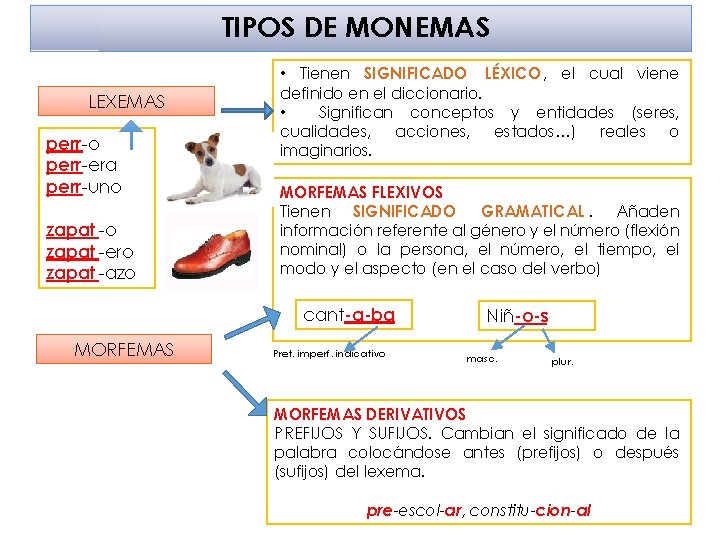 TIPOS DE MONEMAS LEXEMAS perr-o perr-era perr-uno zapat -ero zapat -azo • Tienen SIGNIFICADO