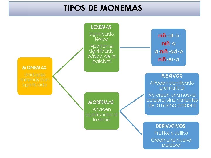TIPOS DE MONEMAS LEXEMAS Significado léxico Aportan el significado básico de la palabra MONEMAS