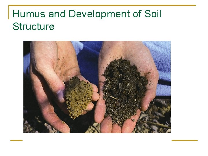 Humus and Development of Soil Structure 