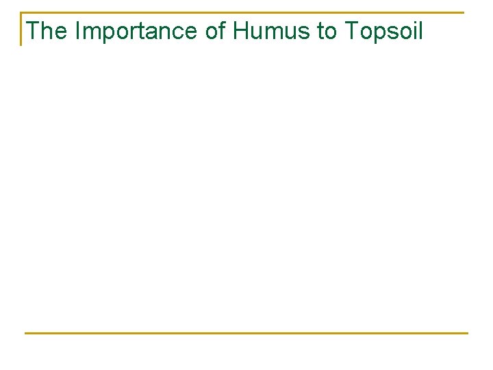 The Importance of Humus to Topsoil 