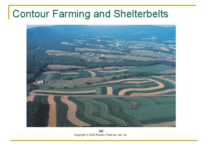 Contour Farming and Shelterbelts 