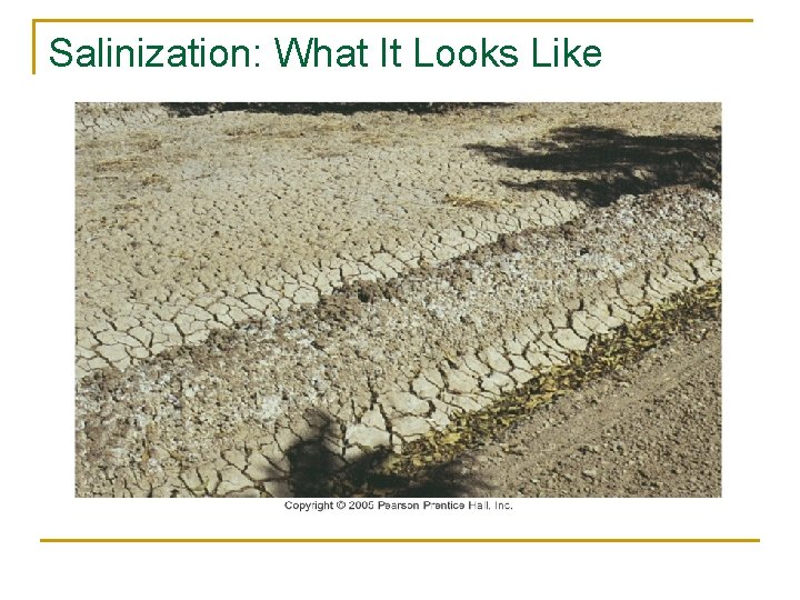 Salinization: What It Looks Like 